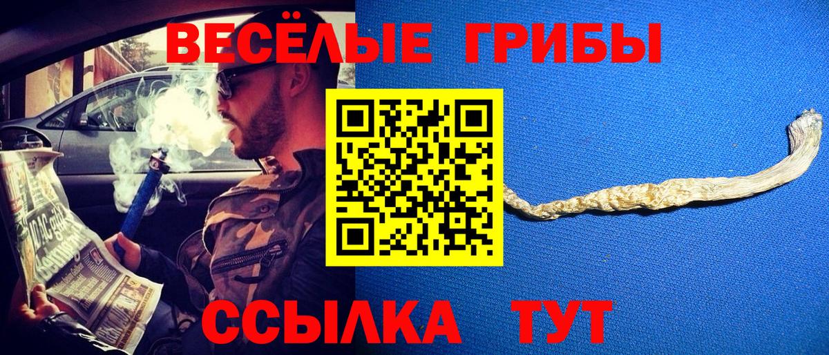 Учалы  Галлюциногенные грибы Psilocybe  закладка  Вход с VPN 