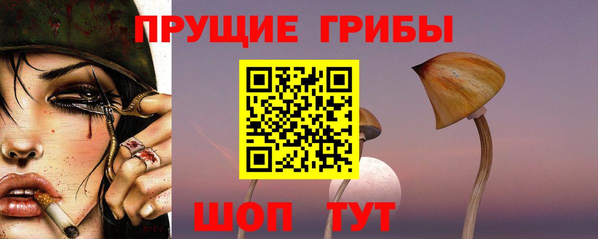 Галлюциногенные грибы Psilocybine cubensis Учалы